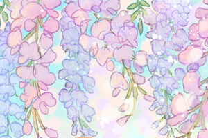 クリサンセマム・ムルチコーレの花言葉【4月21日の誕生花】フリーアイコン配布＊